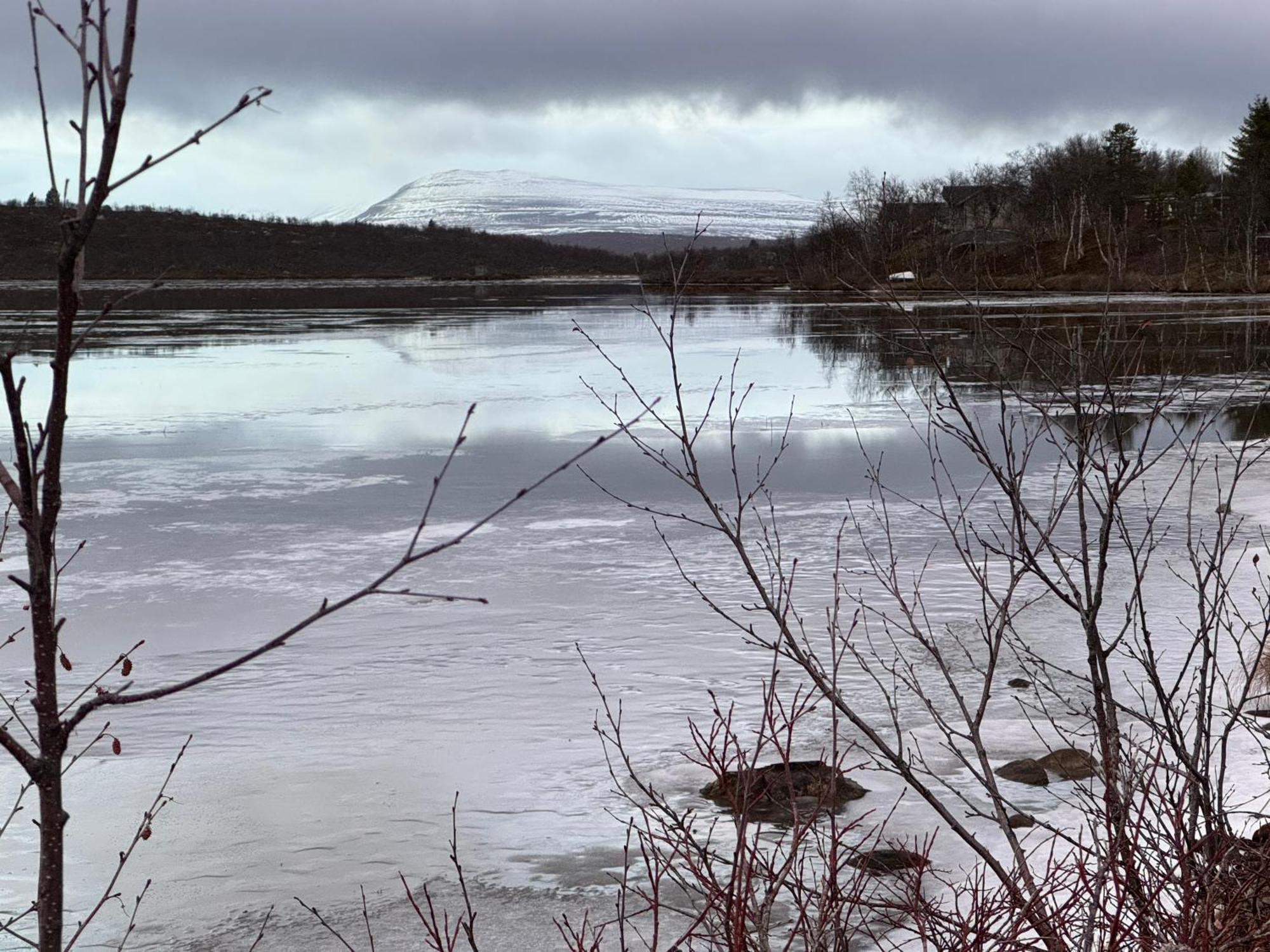 Cottage Lavkavann Finnmarksvidda Skoganvarre Exteriör bild