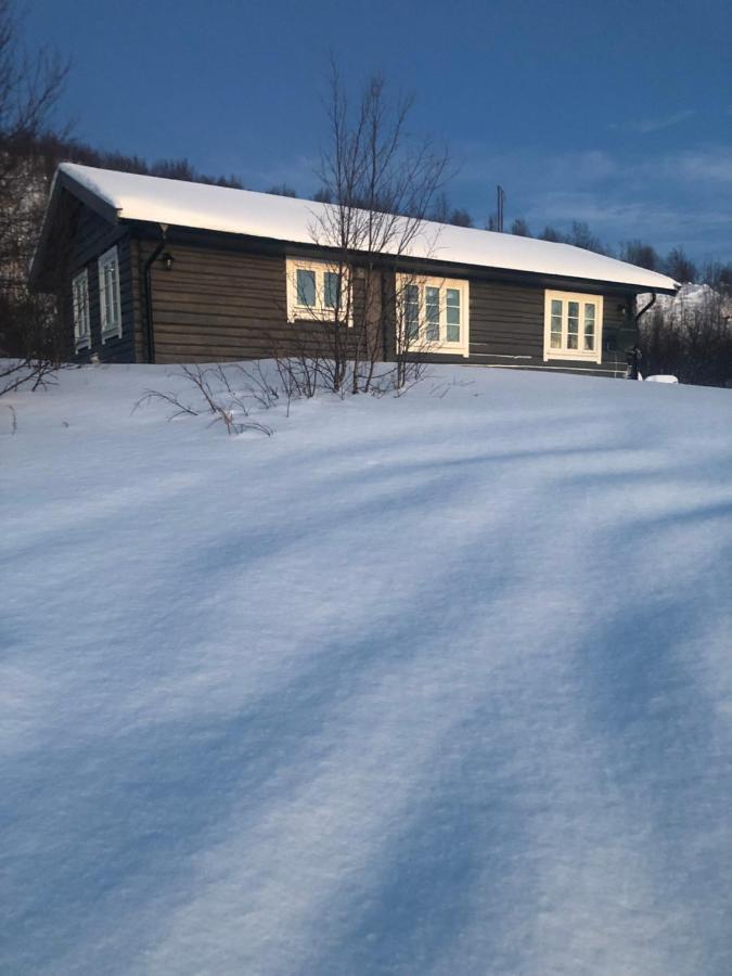 Cottage Lavkavann Finnmarksvidda Skoganvarre Exteriör bild